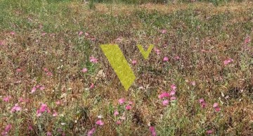 (Προς Πώληση) Αξιοποιήσιμη Γη Οικόπεδο || Πειραιάς/Πειραιάς - 1.100 τ.μ, 1.950.000€