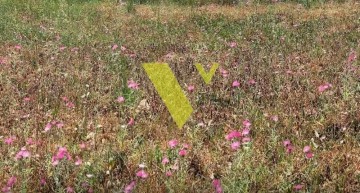 (Προς Πώληση) Αξιοποιήσιμη Γη Οικόπεδο || Ανατολική Αττική/Βάρη-Βάρκιζα - 1.345 τ.μ, 1.400.000€