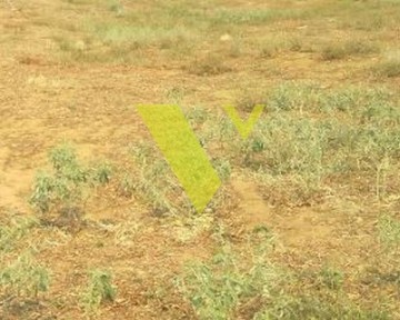(For Sale) Land Plot || Athens South/Alimos - 186 Sq.m, 800.000€