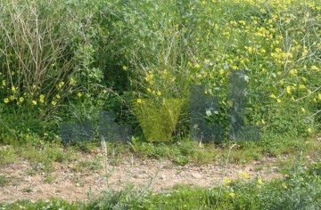 (For Sale) Land Plot || Athens South/Palaio Faliro - 262 Sq.m, 450.000€