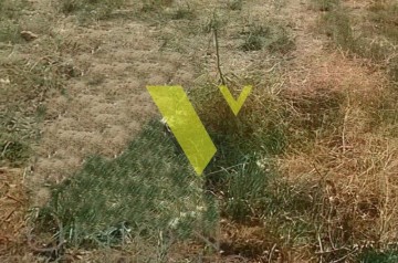 (For Sale) Land Plot || East Attica/Voula - 2.850 Sq.m, 6.000.000€