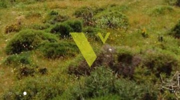 (For Sale) Land Plot || Athens South/Alimos - 424 Sq.m, 1.400.000€