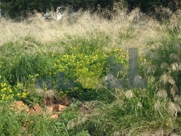 (For Sale) Land Plot || East Attica/Vari-Varkiza - 225 Sq.m, 260.000€