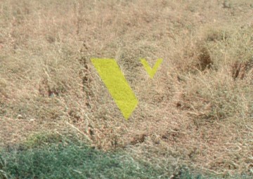 (Προς Πώληση) Αξιοποιήσιμη Γη Οικόπεδο || Πειραιάς/Πειραιάς - 1.172 τ.μ, 1.250.000€