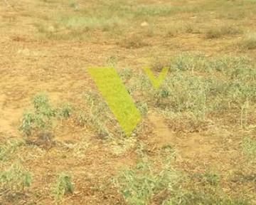 1816501 - Οικόπεδο Προς Πώληση, Βριλήσσια, 2.237 τ.μ., €2.400.000