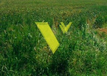 1898832 - Land plot For sale, Voula, 293 sq.m., €450.000