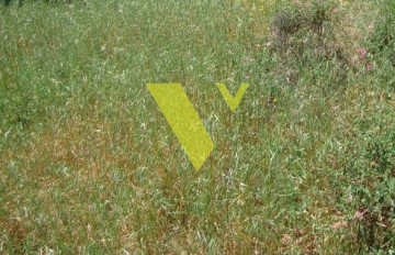 1792565 - Οικόπεδο Προς Πώληση, Αργυρούπολη, 1.420 τ.μ., €2.600.000