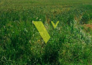 1988812 - Plot of Land For sale, Vari - Varkiza, 400 sq.m., €450.000