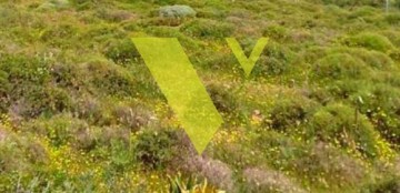 2134937 - Οικόπεδο Προς Πώληση, Νέα Σμύρνη, 134 τ.μ., €300.000