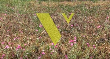 2342049 - Οικόπεδο Προς Πώληση, Δάφνη, 204 τ.μ., €290.000