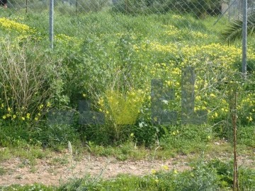 (Προς Πώληση) Αξιοποιήσιμη Γη Οικόπεδο || Αθήνα Νότια/Παλαιό Φάληρο - 245 τ.μ, 480.000€