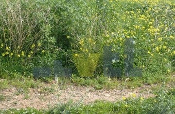 (Προς Πώληση) Αξιοποιήσιμη Γη Οικόπεδο || Αθήνα Νότια/Άγιος Δημήτριος - 230 τ.μ, 250.000€